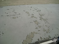 080324 patinodromo