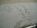 080324 patinodromo