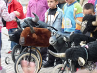 110413 aste kulturala